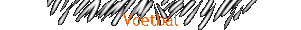 Voetbal