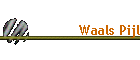 Waals Pijl